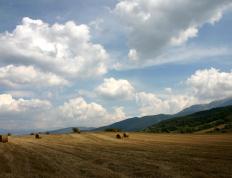 开云体育平台APP-冰与火的救赎，哈登重燃冠军梦，森林狼青春风暴斩落活塞