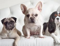 开云体育在线-绝杀之夜，体育场上的永恒瞬间