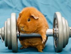 开云体育平台APP-克莱数据全面爆炸，广东队狂胜篮网演绎团队篮球美学