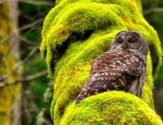 开云体育中国-爵士狂潮冲垮篮网巨轮，恩比德以F1车手般的精准接管冠军赛道