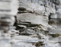 开云体育下载-压力铸就辉煌，卢卡库爆发引领德国战车击败巴黎圣日耳曼