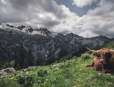 开云体育官网-武切维奇砍生涯新高52分，篮网加时险胜马刺