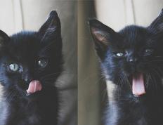 开云官网-京多安一锤定音，巴塞罗那德比夜奏凯歌