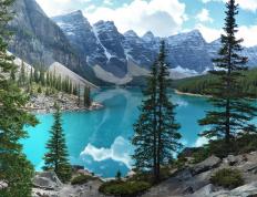 开云体育入口-字母哥的战争法则，当雄鹿命运化为他的掌纹，猛龙在钢铁洪流中沉没