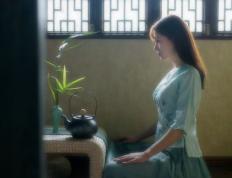 开云平台-范乔丹降神时刻！范弗利特44分打懵雄鹿，步行者奇迹晋级