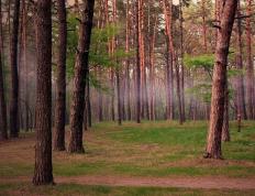 开云体育入口-欧冠惊现篮球元素？魔术失灵北京翻盘