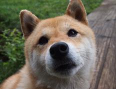 开云体育中国-双城记，当多特蒙德逆袭撞上基米希的抢七神话