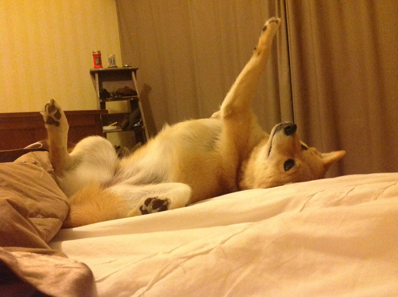 开云APP-贝恩巨星风采引领步行者惊天逆转山西队