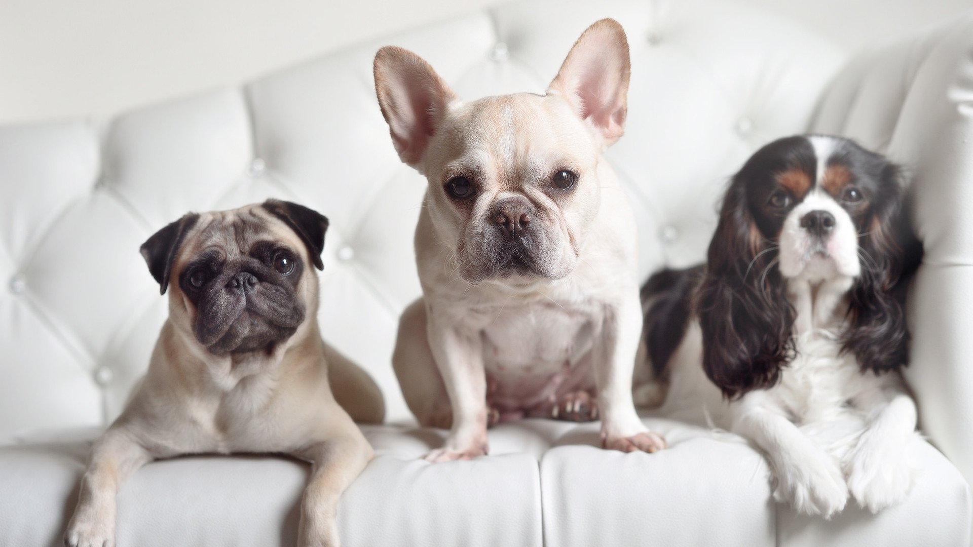 开云体育在线-绝杀之夜,体育场上的永恒瞬间