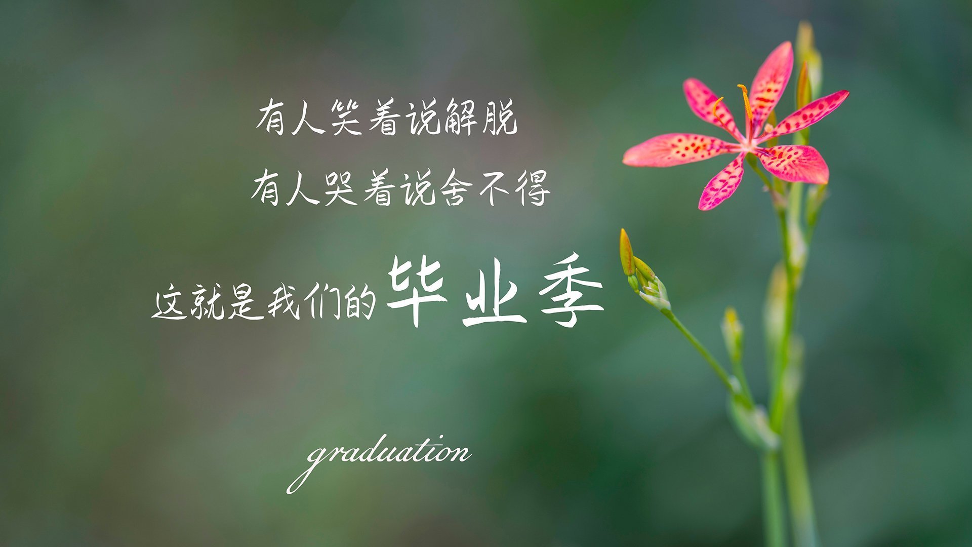 开云体育入口-铁幕之下,谁主沉浮?武切维奇如何以沉默的指挥撕裂浙江队的钢铁防线