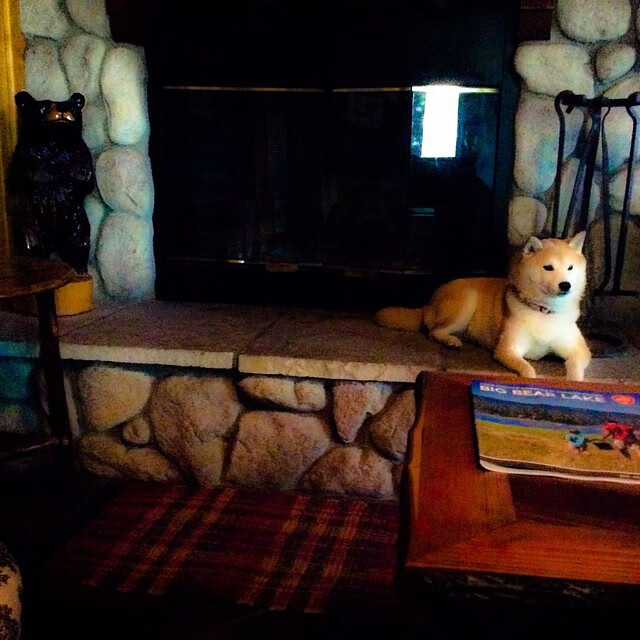 开云体育中国-破局与新生，从雄鹿晋级到欧冠悬念的竞技哲学