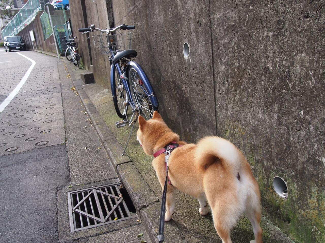 开云官网-魔术打穿新疆队！詹姆斯化身关键先生掌控比赛