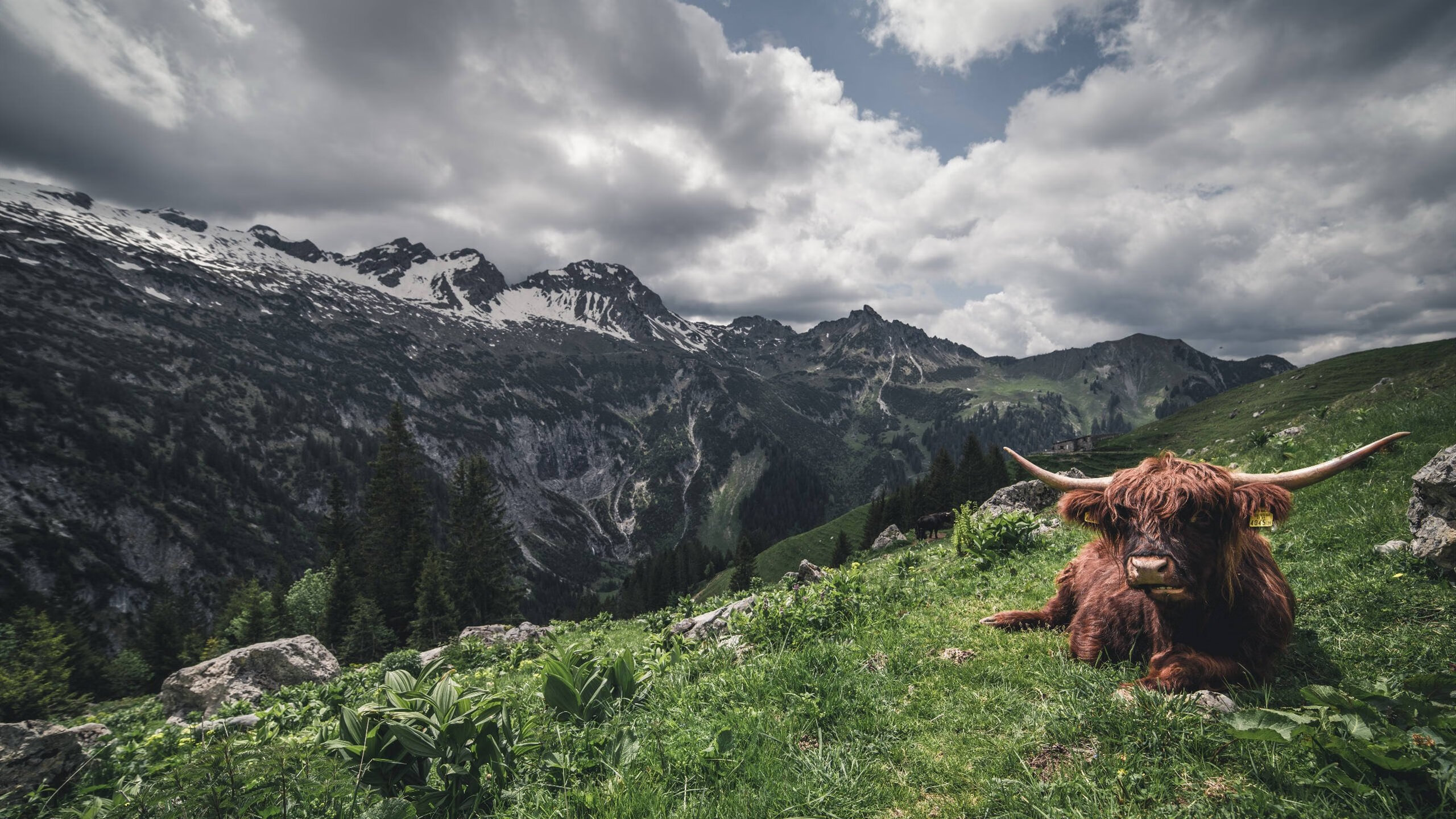 开云体育官网-武切维奇砍生涯新高52分，篮网加时险胜马刺
