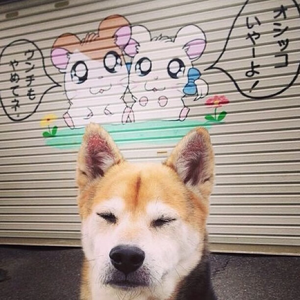 开云体育登录-哈利伯顿冷静绝杀!雷霆末节逆转热火,惊险守住主场