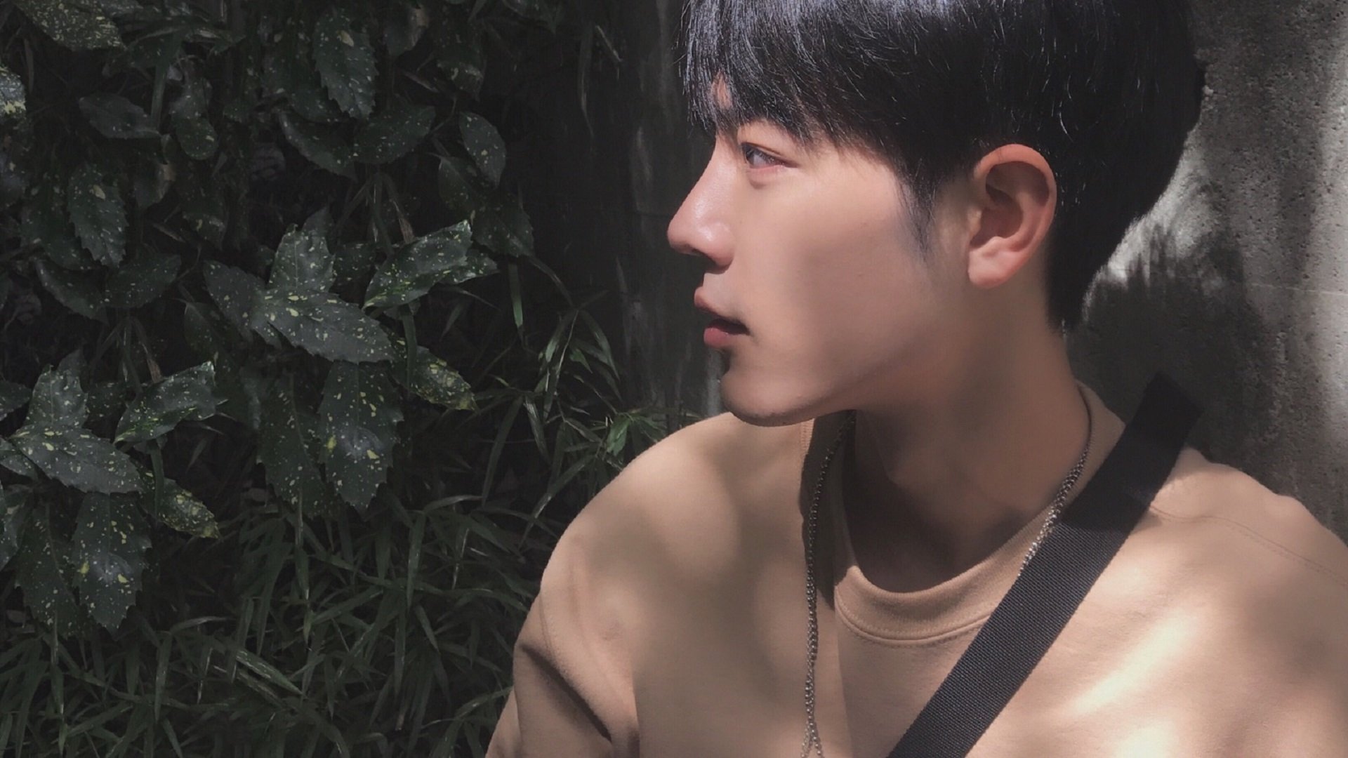 开云体育入口-破坚壁，定乾坤，厄德高手术刀般传球打穿奥地利铁幕