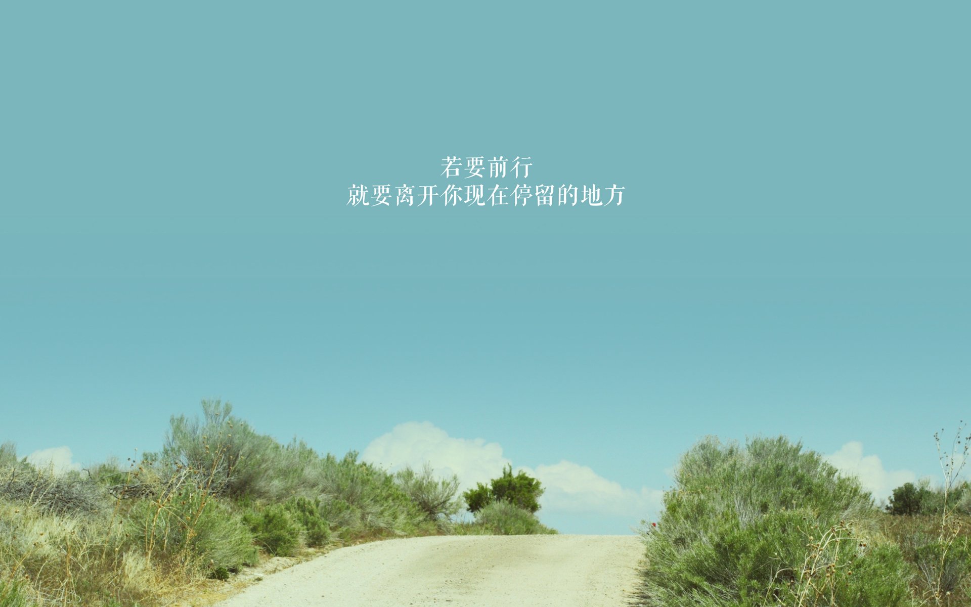 开云体育官方网站-文班亚马,攻防转换的核心,森林狼与掘金的战术迷宫