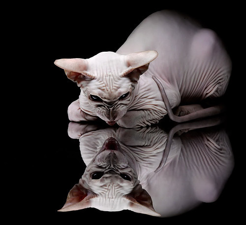 开云体育入口-辽京对决见证统治力,字母哥式表现铸就现代篮球教科书