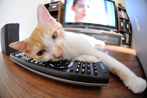 开云官网-绿茵铁律，南粤惊雷，当欧冠的残酷哲学照进广东德比