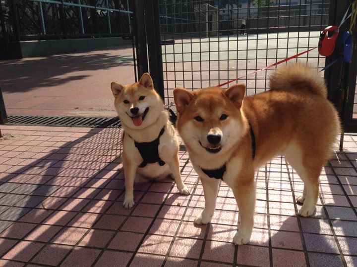 开云体育下载-F1年度争冠之夜,爱德华兹关键战不手软,逆转夺魁铸就传奇