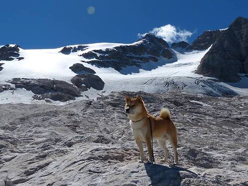 开云体育官网-锡安全程高能输出,飞天遁地的巨兽,如何将深圳防线撕成碎片?